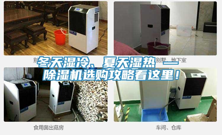 冬天濕冷、夏天濕熱 — 除濕機(jī)選購攻略看這里！