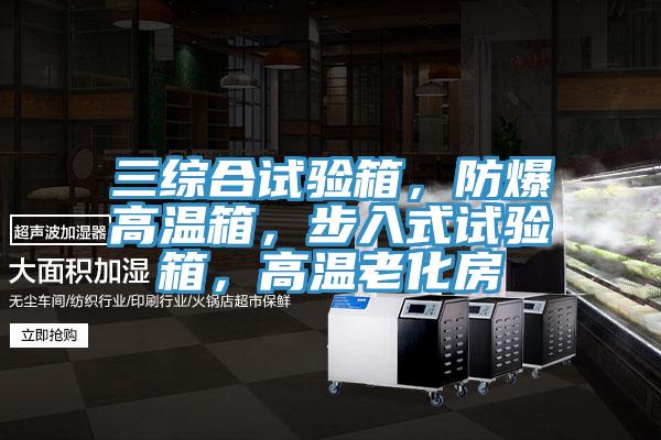 三綜合試驗(yàn)箱，防爆高溫箱，步入式試驗(yàn)箱，高溫老化房