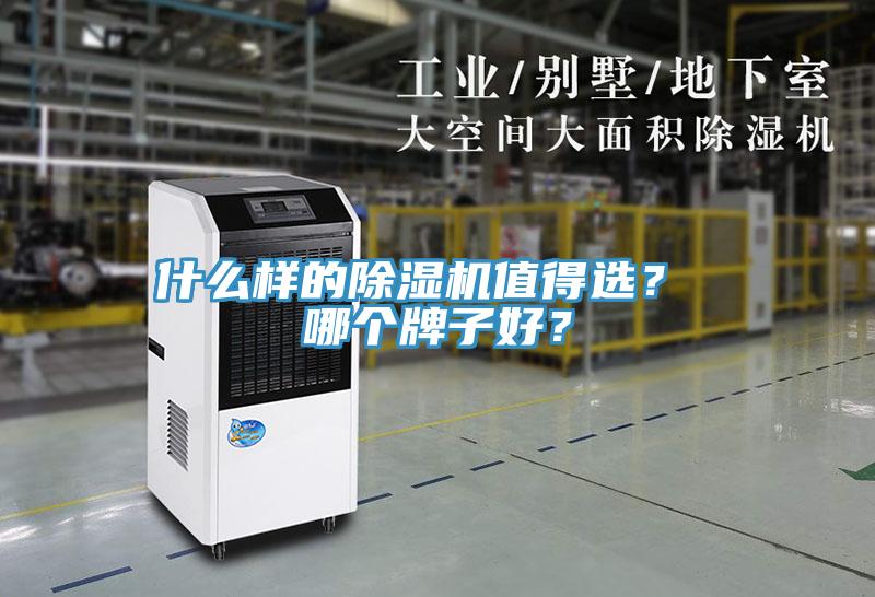 什么樣的除濕機(jī)值得選？ 哪個牌子好？