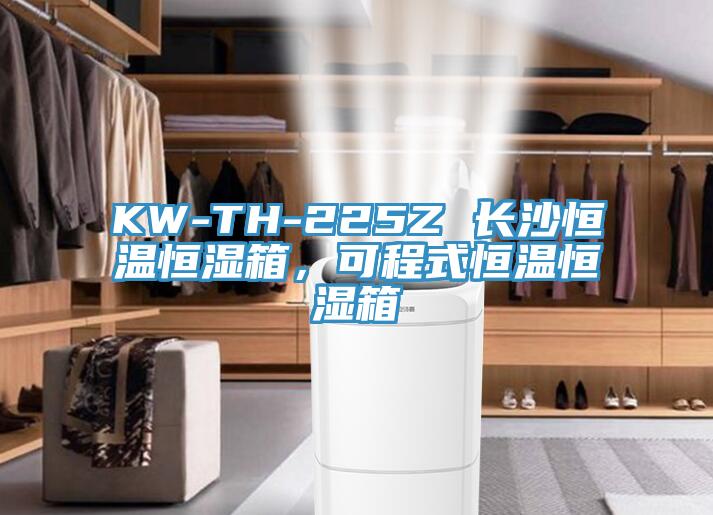 KW-TH-225Z 長沙恒溫恒濕箱，可程式恒溫恒濕箱