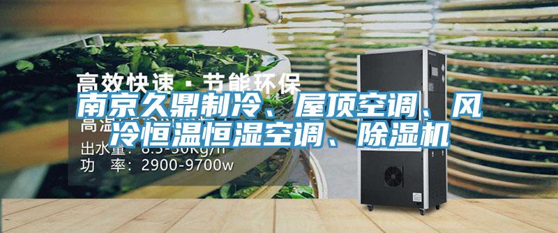 南京久鼎制冷、屋頂空調、風冷恒溫恒濕空調、除濕機