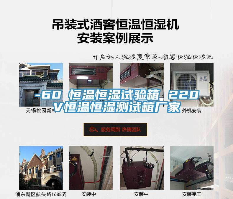-60℃恒溫恒濕試驗(yàn)箱 220V恒溫恒濕測(cè)試箱廠(chǎng)家