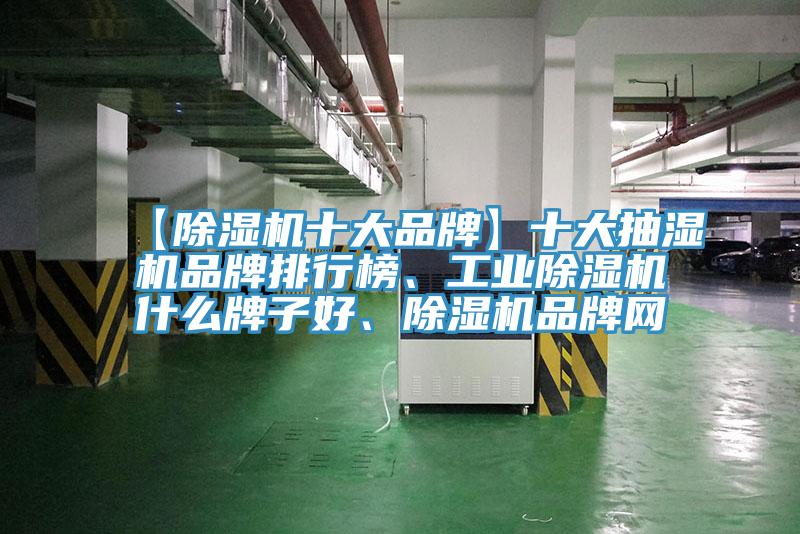 【除濕機十大品牌】十大抽濕機品牌排行榜、工業(yè)除濕機什么牌子好、除濕機品牌網(wǎng)