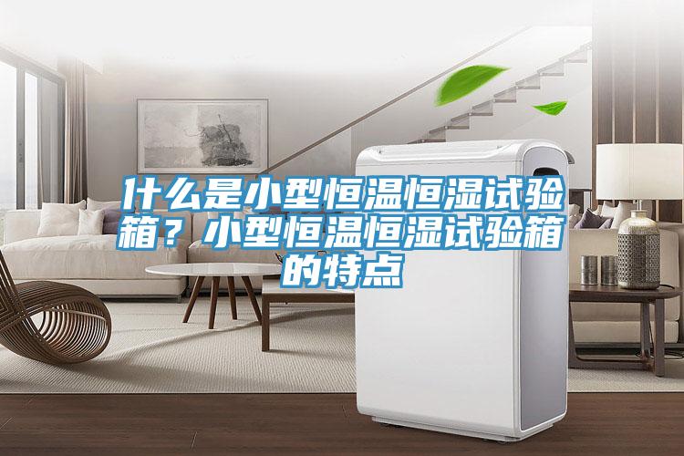什么是小型恒溫恒濕試驗箱？小型恒溫恒濕試驗箱的特點