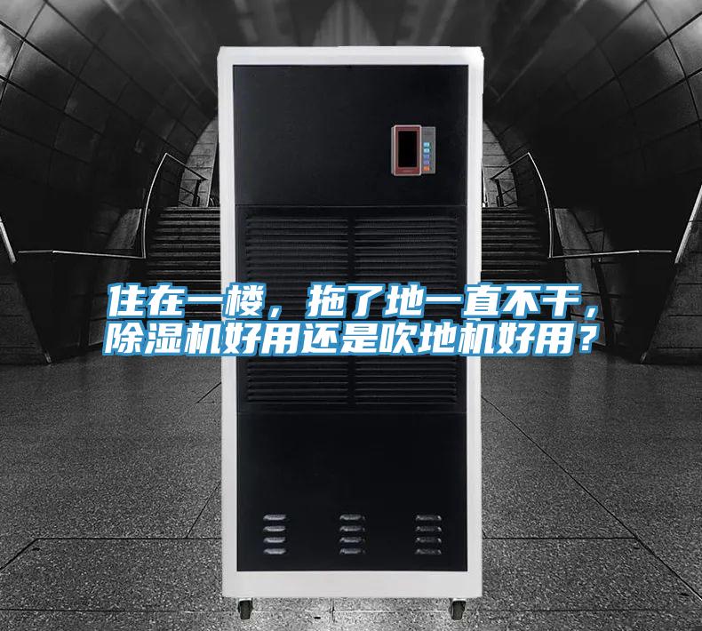 住在一樓，拖了地一直不干，除濕機(jī)好用還是吹地機(jī)好用？