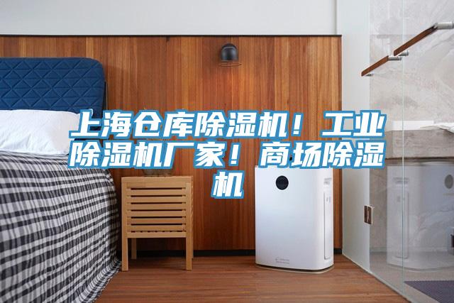 上海倉庫除濕機(jī)！工業(yè)除濕機(jī)廠家！商場除濕機(jī)