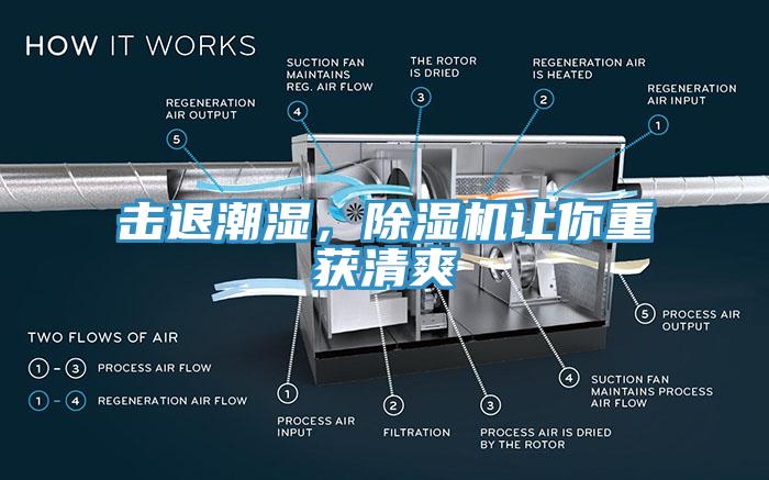 擊退潮濕，除濕機(jī)讓你重獲清爽