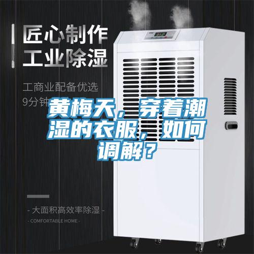 黃梅天，穿著潮濕的衣服，如何調(diào)解？
