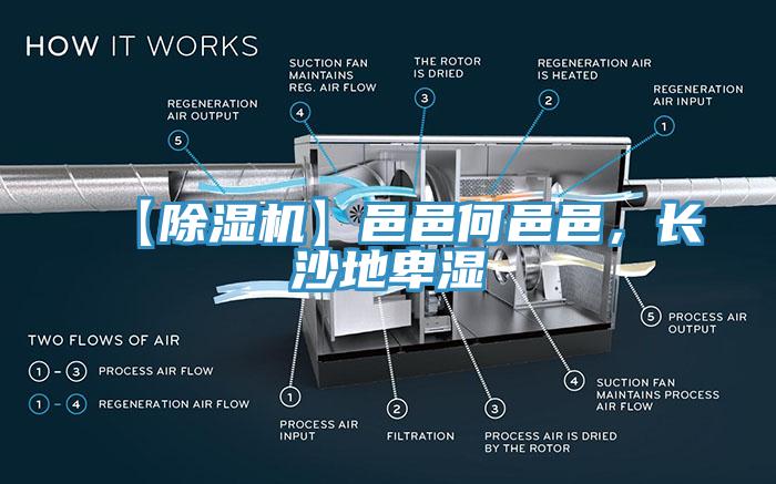 【除濕機】邑邑何邑邑，長沙地卑濕