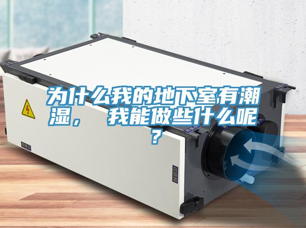 為什么我的地下室有潮濕， 我能做些什么呢？