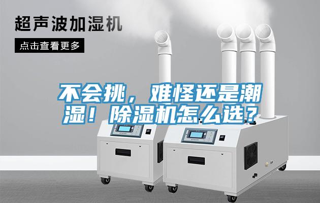 不會(huì)挑，難怪還是潮濕！除濕機(jī)怎么選？