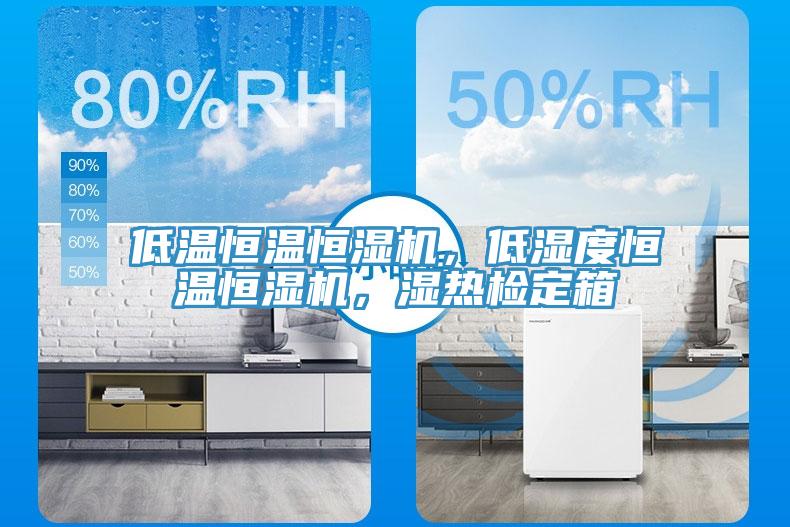 低溫恒溫恒濕機(jī)，低濕度恒溫恒濕機(jī)，濕熱檢定箱
