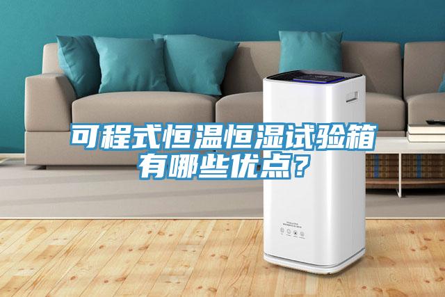 可程式恒溫恒濕試驗(yàn)箱有哪些優(yōu)點(diǎn)？