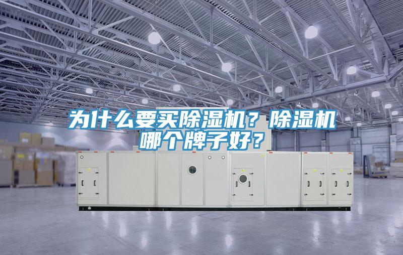 為什么要買除濕機？除濕機哪個牌子好？