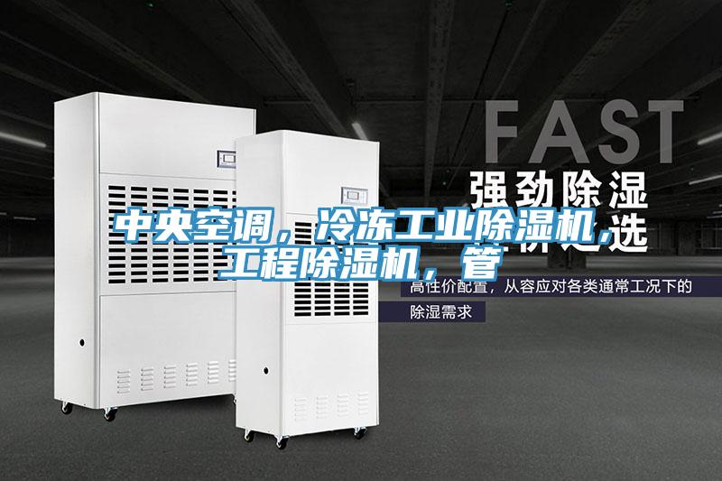 中央空調(diào)，冷凍工業(yè)除濕機，工程除濕機，管