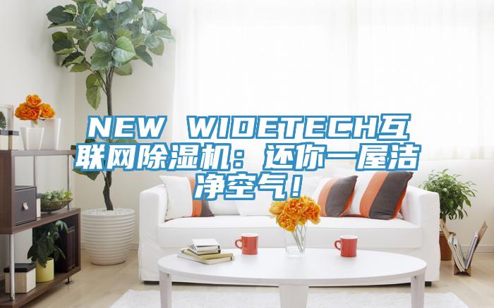 NEW WIDETECH互聯(lián)網(wǎng)除濕機(jī)：還你一屋潔凈空氣！