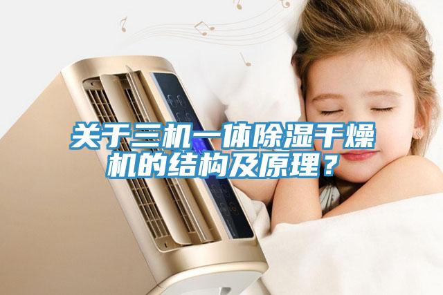關(guān)于三機一體除濕干燥機的結(jié)構(gòu)及原理？