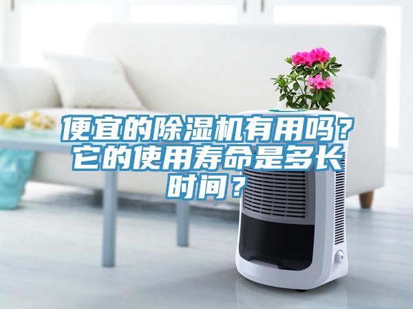 便宜的除濕機有用嗎？它的使用壽命是多長時間？