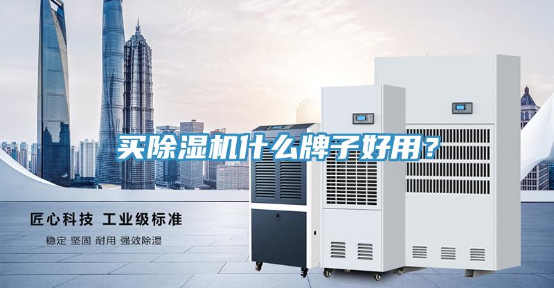 買除濕機(jī)什么牌子好用？