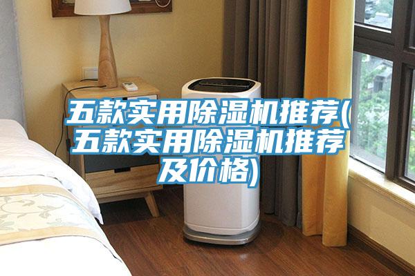 五款實用除濕機(jī)推薦(五款實用除濕機(jī)推薦及價格)