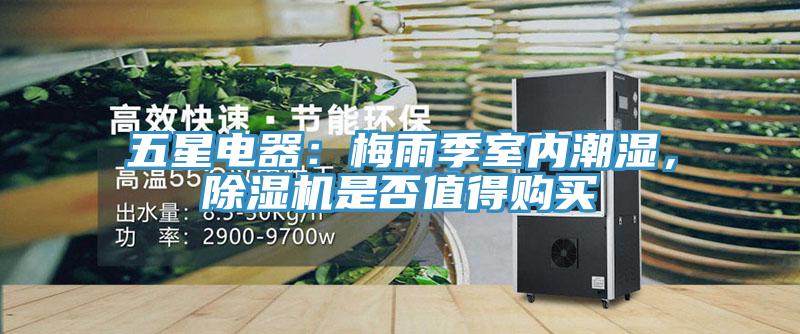 五星電器：梅雨季室內(nèi)潮濕，除濕機是否值得購買