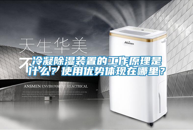 冷凝除濕裝置的工作原理是什么？使用優(yōu)勢(shì)體現(xiàn)在哪里？
