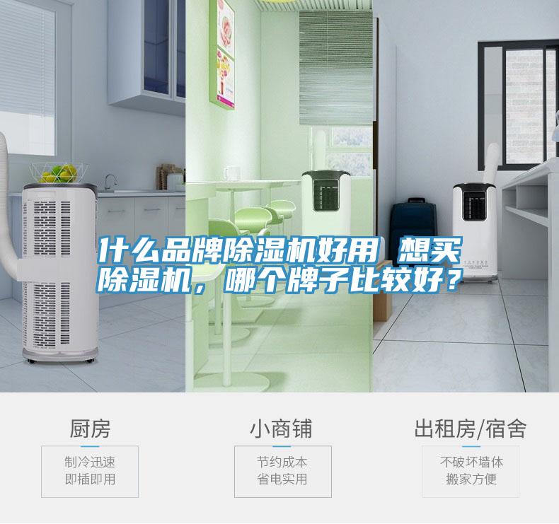 什么品牌除濕機(jī)好用 想買(mǎi)除濕機(jī)，哪個(gè)牌子比較好？