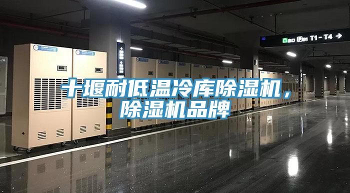 十堰耐低溫冷庫除濕機(jī)，除濕機(jī)品牌