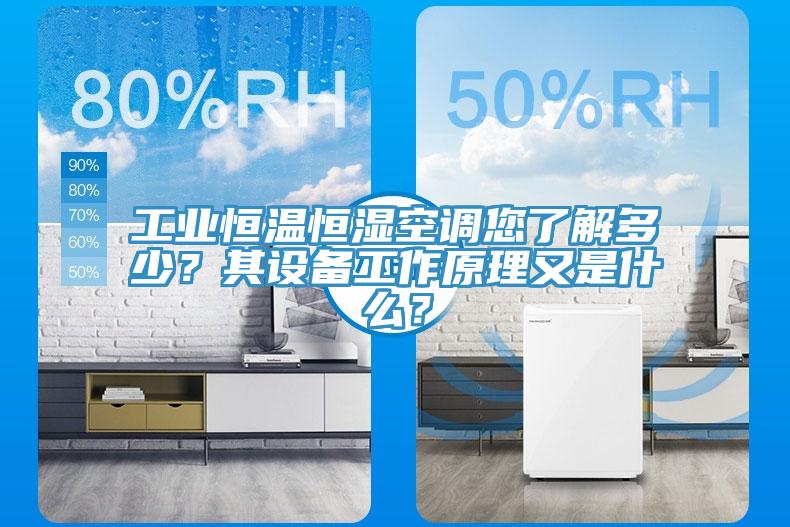 工業(yè)恒溫恒濕空調(diào)您了解多少？其設(shè)備工作原理又是什么？