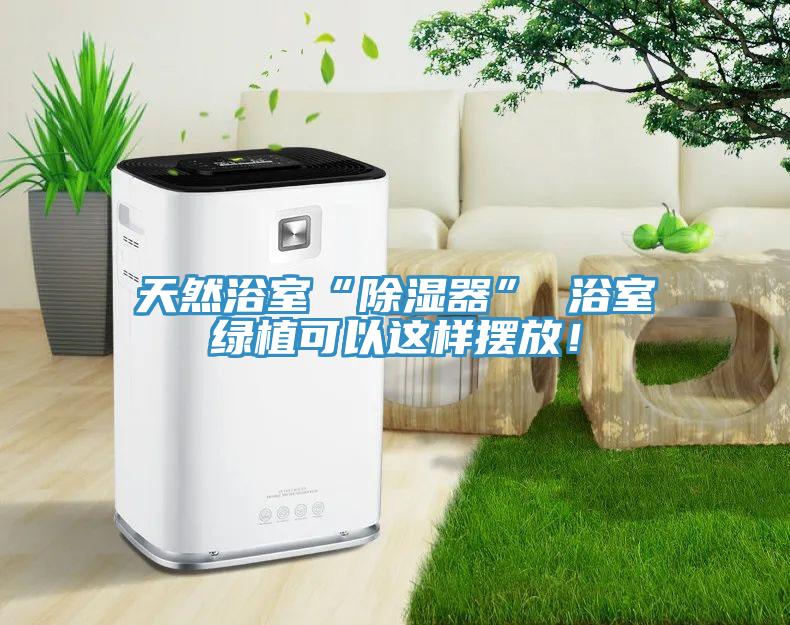天然浴室“除濕器” 浴室綠植可以這樣擺放！