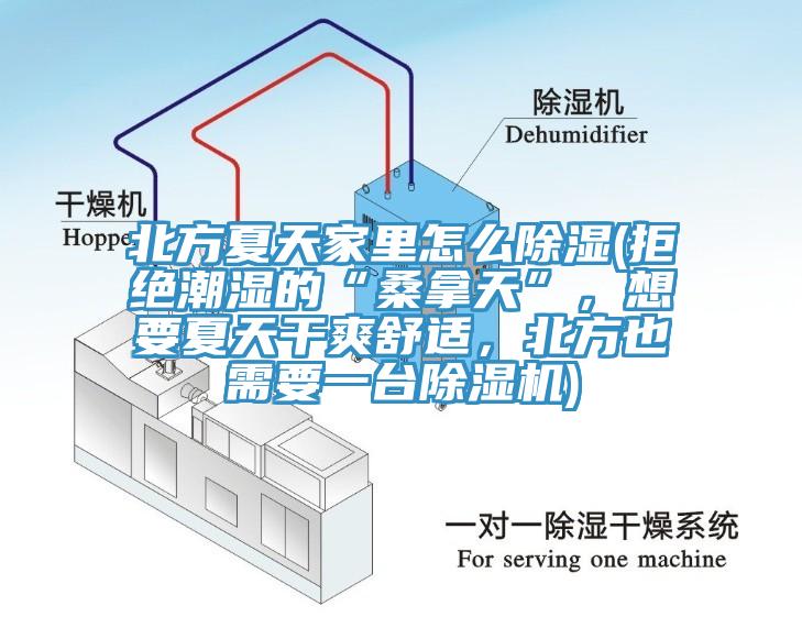 北方夏天家里怎么除濕(拒絕潮濕的“桑拿天”，想要夏天干爽舒適，北方也需要一臺除濕機)