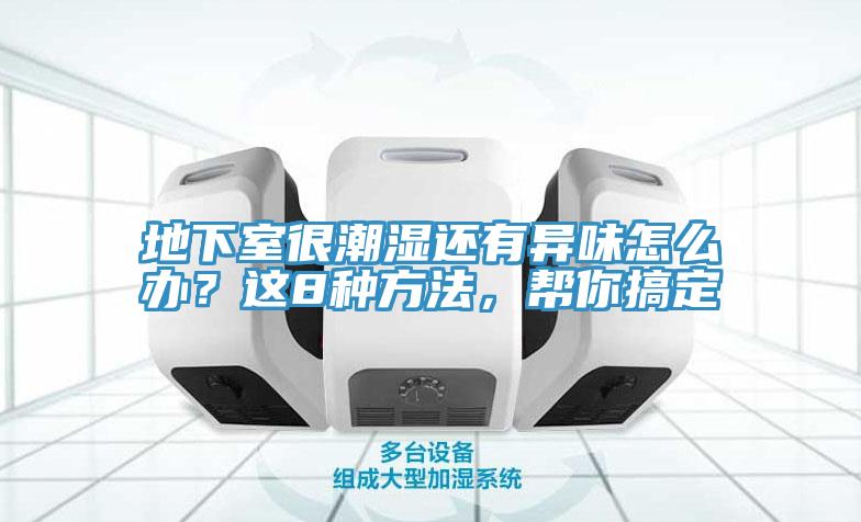 地下室很潮濕還有異味怎么辦？這8種方法，幫你搞定