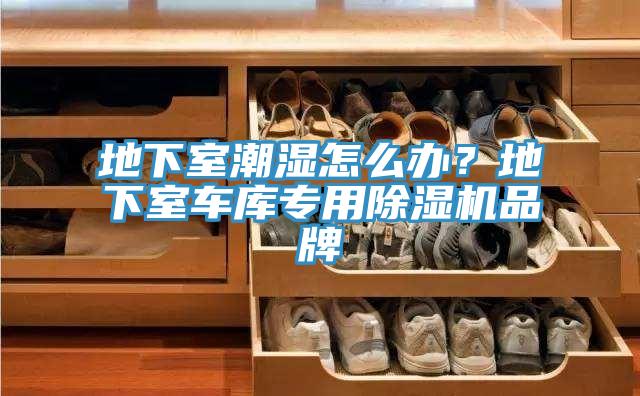 地下室潮濕怎么辦？地下室車庫專用除濕機(jī)品牌