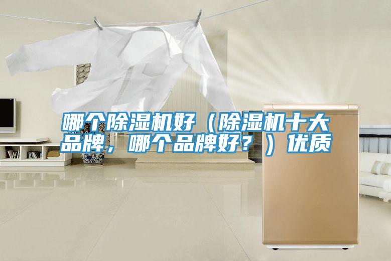 哪個除濕機好（除濕機十大品牌，哪個品牌好？）優(yōu)質(zhì)