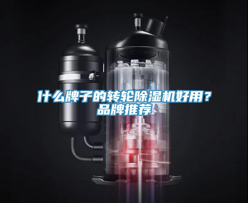 什么牌子的轉(zhuǎn)輪除濕機好用？品牌推薦