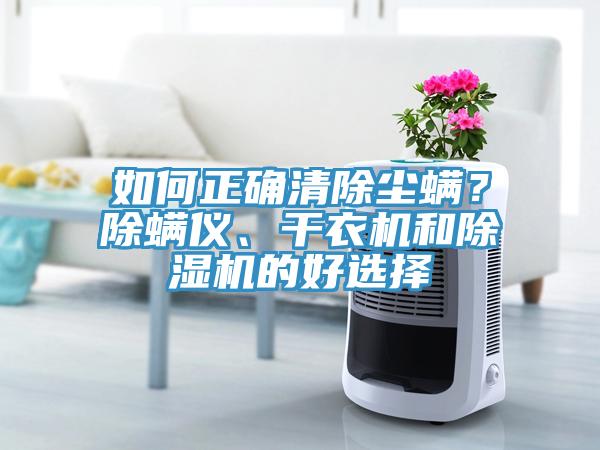 如何正確清除塵螨？除螨儀、干衣機(jī)和除濕機(jī)的好選擇
