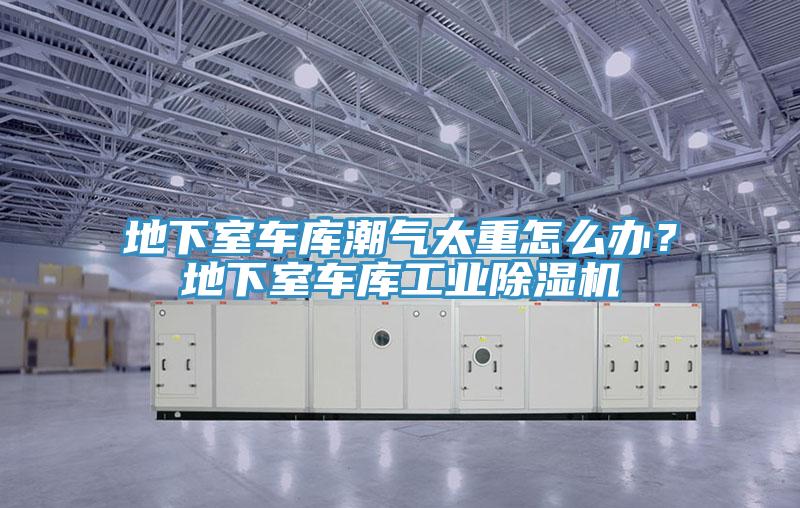 地下室車庫潮氣太重怎么辦？地下室車庫工業(yè)除濕機