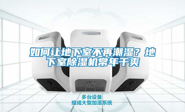 如何讓地下室不再潮濕？地下室除濕機常年干爽