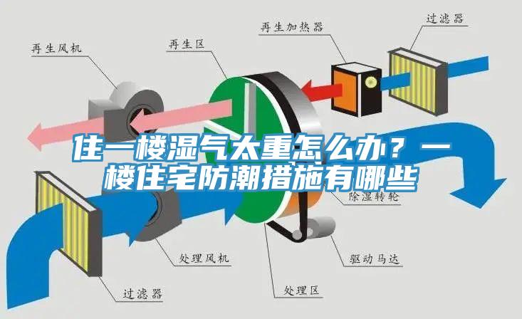 住一樓濕氣太重怎么辦？一樓住宅防潮措施有哪些