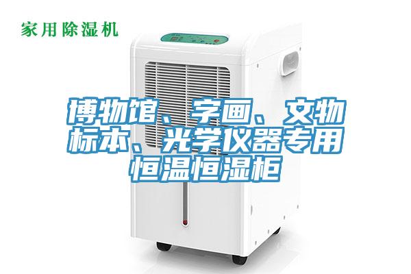 博物館、字畫、文物標本、光學儀器專用恒溫恒濕柜