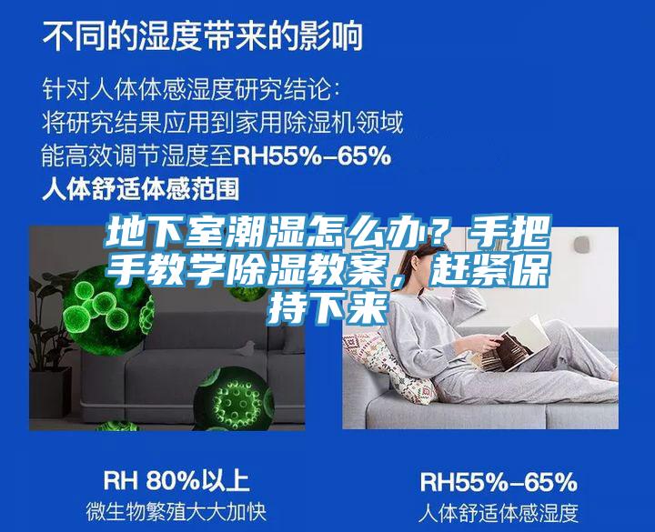 地下室潮濕怎么辦？手把手教學(xué)除濕教案，趕緊保持下來