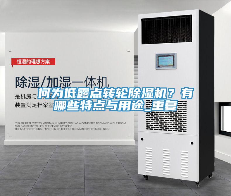 何為低露點轉(zhuǎn)輪除濕機？有哪些特點與用途_重復