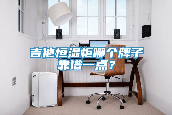 吉他恒濕柜哪個牌子靠譜一點？