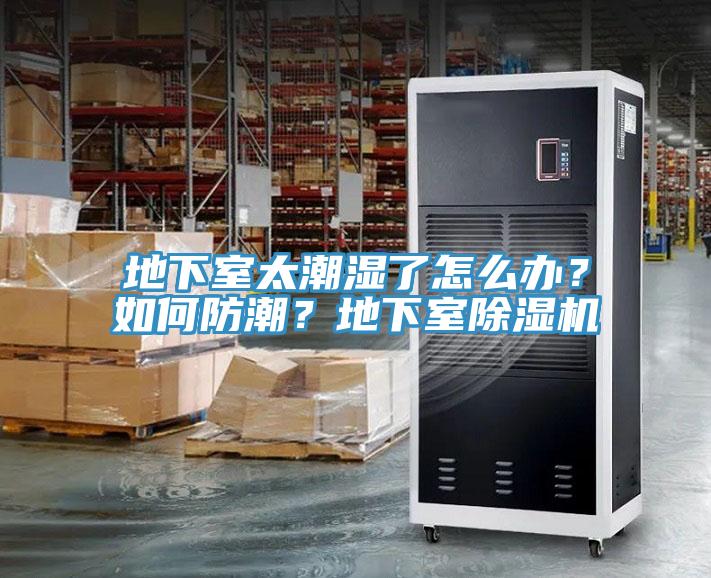 地下室太潮濕了怎么辦？如何防潮？地下室除濕機(jī)