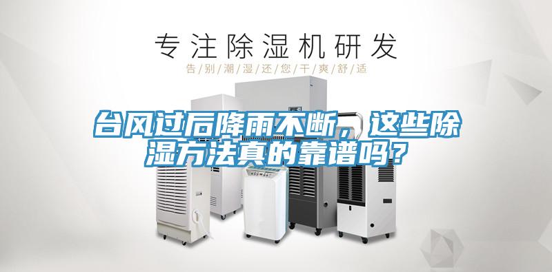臺風過后降雨不斷，這些除濕方法真的靠譜嗎？