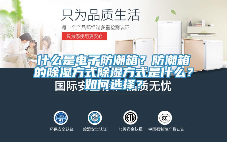 什么是電子防潮箱？防潮箱的除濕方式除濕方式是什么？如何選擇？