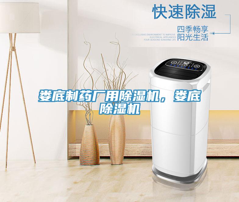 婁底制藥廠用除濕機，婁底除濕機