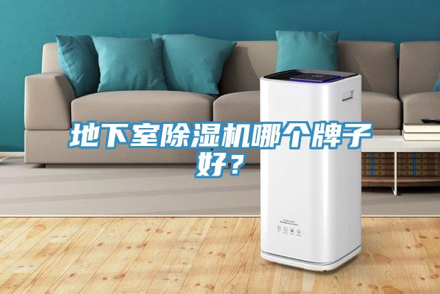 地下室除濕機(jī)哪個(gè)牌子好？
