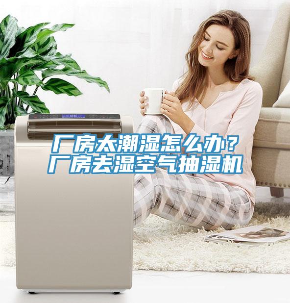 廠房太潮濕怎么辦？廠房去濕空氣抽濕機