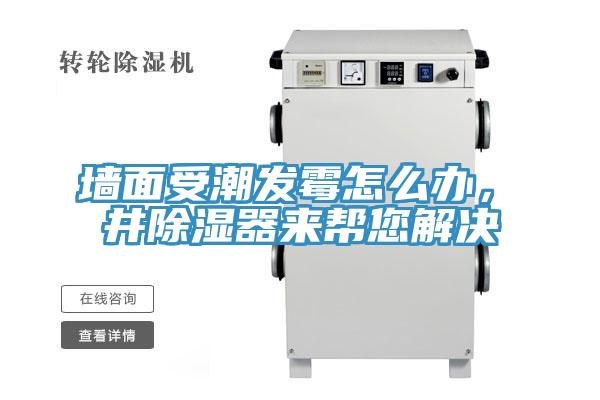 墻面受潮發(fā)霉怎么辦，東井除濕器來幫您解決